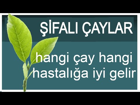 Video: Hansı çay Qariep bəndini qidalandırır?