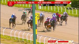 Vidéo de la course PMU PRIX OLIMPICO