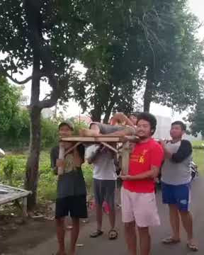 Tiktok coffin dance lucu terbaru 2020: Coffin dance dengan kearifan lokal