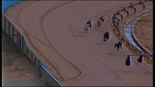 SHP SAT 16 JAN 21 R3