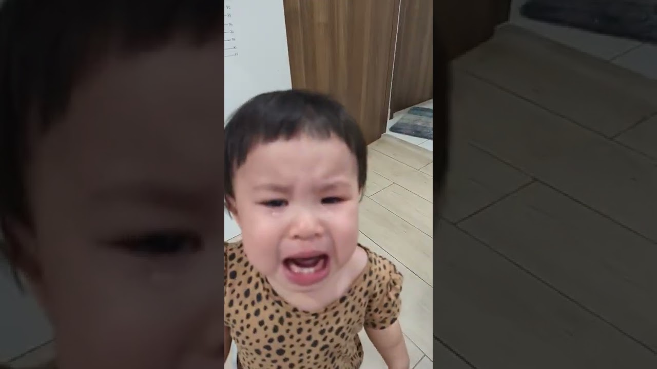 Ba chọc không cho Gấu ăn chè bưởi, Gấu khóc quá khóc