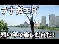 手長エビ 釣り ブクブク 活かすぜOK
