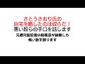 さとうさおり氏の自宅住所を晒したのは奴らだ！　汚い奴らの手口と桜風涼が過去に体験した怖い話を語ります。