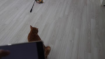 아두이노 rc카  키트이용해서 만들어봤어요