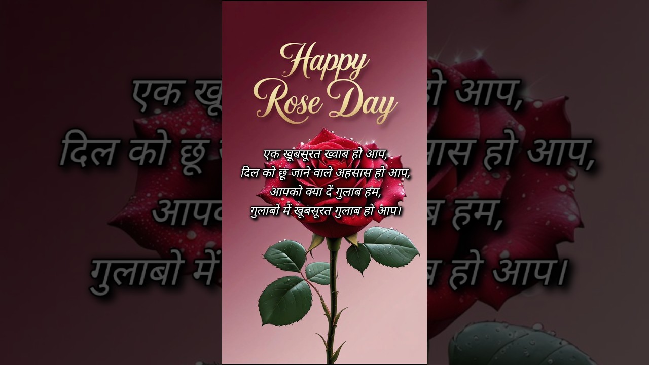 Happy Rose Day Shayari In Hindi | Rose Day Status 2026 | Rose Day Shayari 2026 