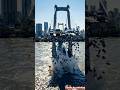 Massive Bridge Collapse 😱 Giant Structure Falls Into River | Realistic AI Animation #Shorts #viral