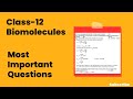Biomolecules Chemistry 2nd Puc most important questions🔥2025#chemistryexam#exampaper#chemistrytest 