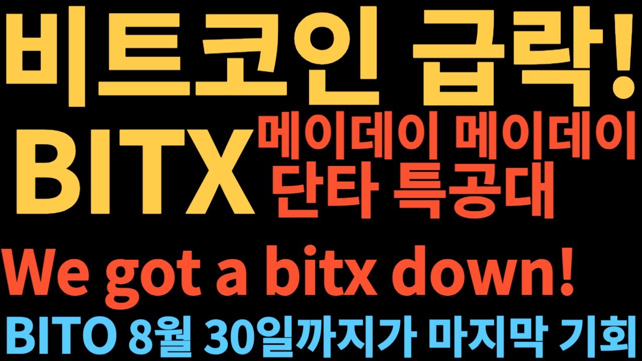 비트코인 급락! /BITX 몰살 위기/BITO 8월30일까지가 마지막 기회!/#BITO#BITX# - YouTube