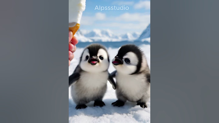 First Ice Cream Ever for Baby Penguins #penguin #cute #cuteanimals #ai #babyanimals #trending #short