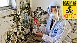 WE HAVE MOLD....AND IT'S WORSE THAN WE THOUGHT | HOUSE UPDATE