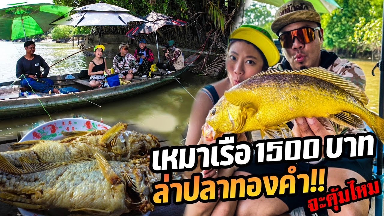 เหมาเรือ 1,500 บาท ตามหาปลาทองคำเเห่งเเม่น้ำบางปะกง !!