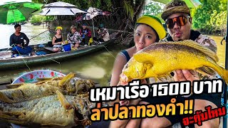 เหมาเรือ 1,500 บาท ตามหาปลาทองคำเเห่งเเม่น้ำบางปะกง !!