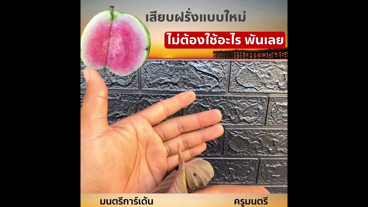 เสียบฝรั่งไม่ต้องพันยอด