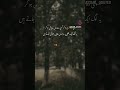 #shortvideo #newvideo #ytshorts #likeandsubscribe #poetry