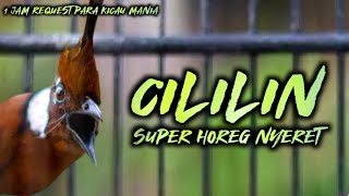Download Lagu CILILIN HOREG!!!! SPEED NYERET PANJANG MEWAH GAMPANG MASUK || MASTERAN MURAI BATU CUCAK IJO CENDET MP3 Download Lagu CILILIN HOREG!!!! SPEED NYERET PANJANG MEWAH GAMPANG MASUK || MASTERAN MURAI BATU CUCAK IJO CENDET MP3