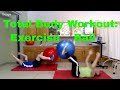 Total Body Exercise Ball Workout Routine (Beginner to Advanced for PhysioBall, Swiss Ball, ETC.)