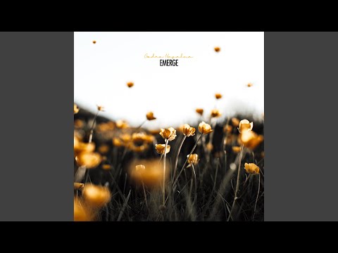 Dancing Particles