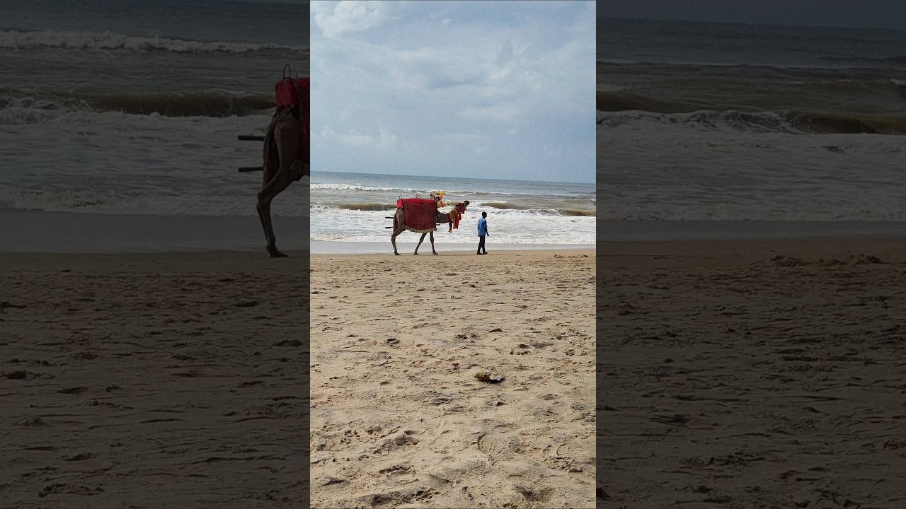 Puri Tour | Jagannath Temple | Jai Jagannath 🙏🌊🐚 #puri #jagannath #temple #shortsfeed #shorts #fyp