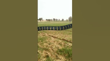 anaconda snake in real life video #youtuber #trending #shorts #youtubeshorts #anaconda #viral