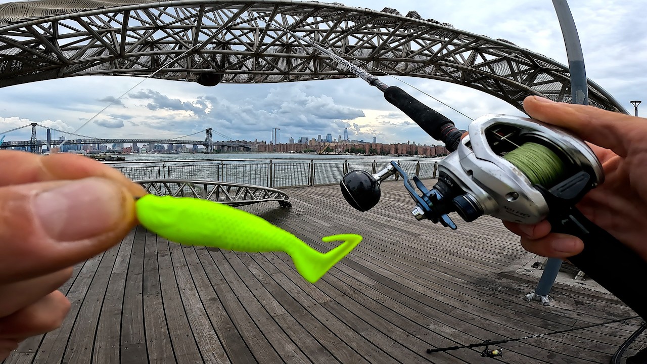 Are There Fish In NYC Water