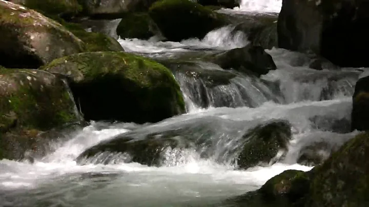 KEPHART PRONG - GREAT SMOKIES EP 07  M.M.ROGERS