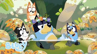 Exploring The Earth With Bluey  | Bluey