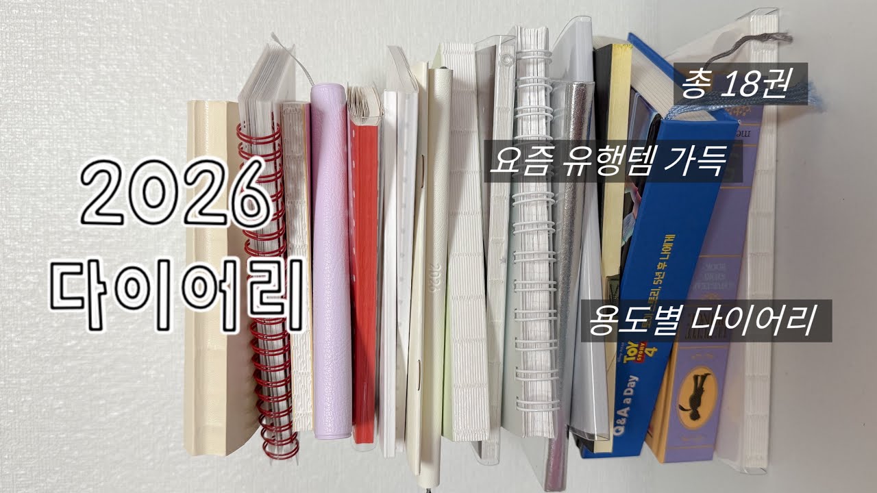 2026 ꫛꫀꪝ 다이어리 18권 소개 ໒꒱ྀི₊˚✧ 요즘 유행템부터 다양한 용도별 다이어리 가득 ᝰ♡‍