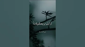 ربنا إننا سمعنا مناديا ينادي للإيمان أن آمنوا بربكم فآمنا سورة آل عمران عبدالباسط عبدالصمد 