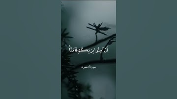 ربنا إننا سمعنا مناديا ينادي للإيمان أن آمنوا بربكم فآمنا = سورة آل عمران = #عبدالباسط_عبدالصمد