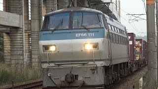 【4K】JR山陽本線 EF66-111号機牽引 2081レ貨物列車
