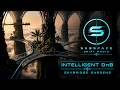 SUBSPACE DRIFT RADIO | Skybridge Gardens | Intelligent DnB