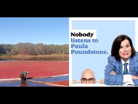 Cranberries and Their Bog!