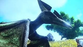 Ark Survival Of The Fittest Event