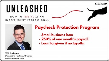 244. Overview of the Paycheck Protection Program, COVID-19 pandemic loans to small businesses