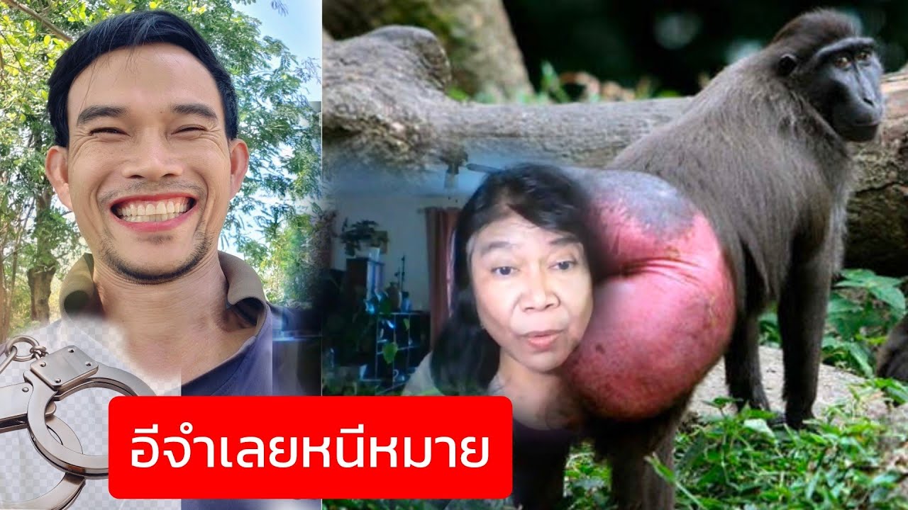 อีจำเลยหนีหมาย