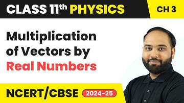 Multiplication of Vectors by Real Numbers - Motion in a Plane | Class 11 Physics Ch 3 | CBSE 2025-26