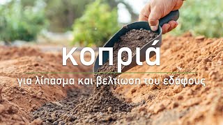 🌱 Κοπριά: Φυσικό λίπασμα και εδαφοβελτιωτικό - Τα Μυστικά του Κήπου