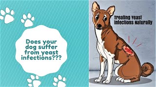 Treating yeast infections naturally in your dog