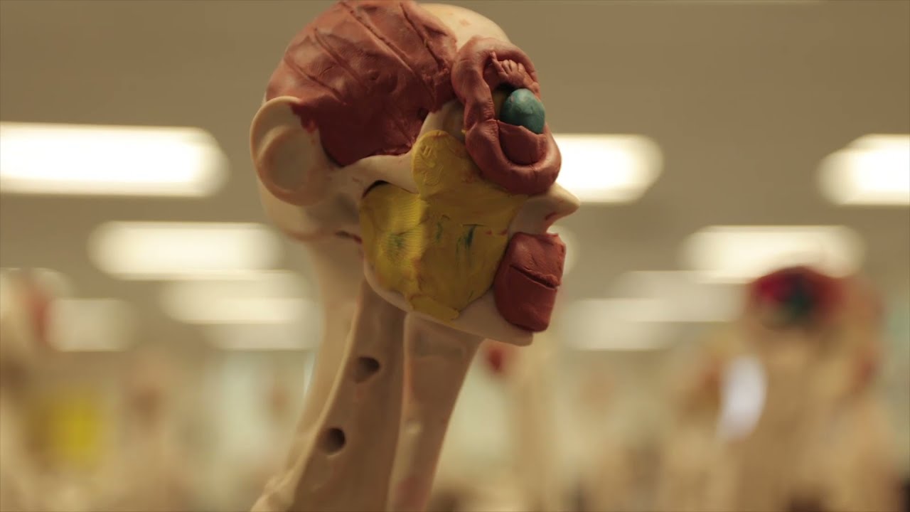 TILLER NEWS TIME - Tustin High School News - Episode 26 - MUN