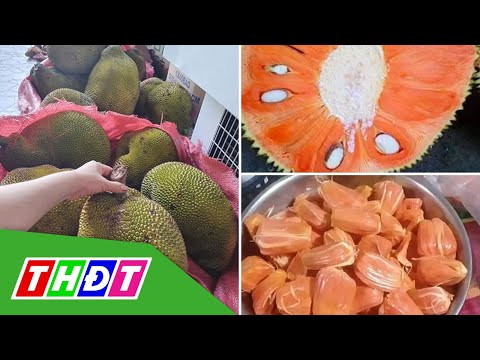 Video Mít ruột đỏ Malaysia giá 120.000đồng/kg vẫn đắt hàng |... - youtube