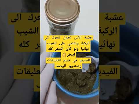 عشبة الآس القوية تطول الشعرك للركبة وتقضي على الشيب ولو كان شعرك كله أبيض مضمونة ومجربة