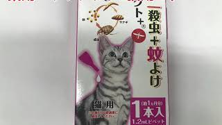 ドギーマンハヤシ　薬用ペッツテクト＋猫用　１本