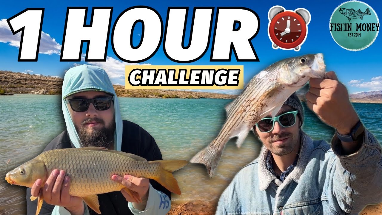 1 Hour Lake Mead Fishing Challenge… What Can We Catch?