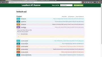09  Understanding Loopback API Explorer