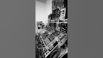 Desmodus Versio Destruction #eurorack #modular #modularsynthesis #synthtok #tafony #noiseengineering