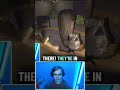 what did we do wrong!? #gaming #funny #repogame #horrorgame
