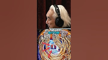 Can We Put Quantum Computers In Our Heads?! | Michio Kaku, JRE Podcast #shorts