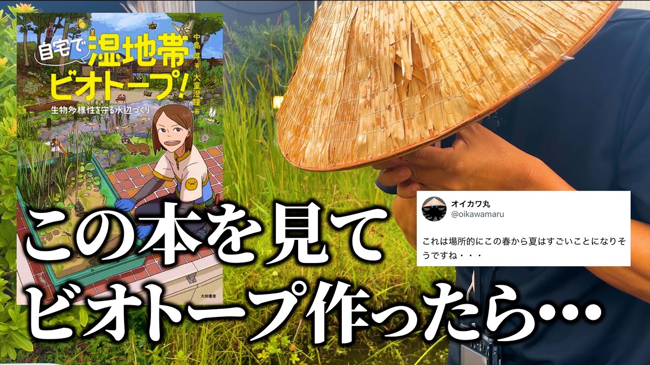 オイカワ丸（中島淳）先生が来園！ビオトープ全池の生き物調査＆解説｜【自宅で湿地帯ビオトープ！】