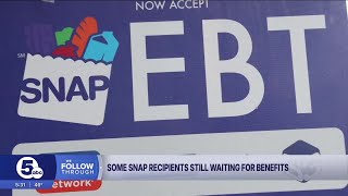 Some Ohioans still don't have their November SNAP benefits