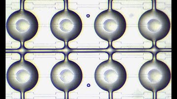 Mixing valve operation in microfluidic incubation chambers (microPAD)